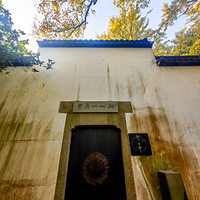 ����ɽһƬ�ơ�����һ�꣬���ڵȵ������ӻ��ˣ�