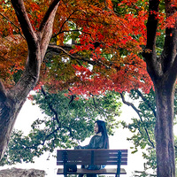 ������ƽ������һ���Ҷ���ˣ�ӭ������Ѥ�õ�ʱ�̣�