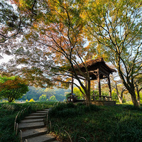 �����ɫ��