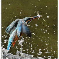 ץ����Ĵ���