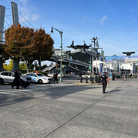 �����У�ʮ�ģ�