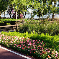 ��Ӱ����2511 �����ֳ���2