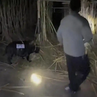 ͻȻ���𣡳�ǧ�����ο�������������С͵������һ���������㽭��