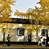 ���������Ӽ���