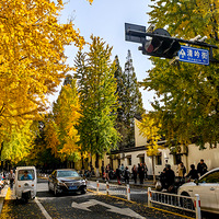 ��������������������������ʣ�