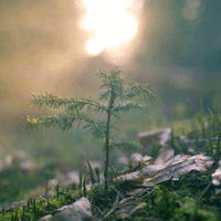 �Ը�����3���ص���ˣ���Ѫ�ܲ����ո���