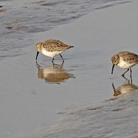 Ǯ������һ�Թ������б���������������