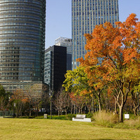 ��Ӱ����2511 ����԰����1