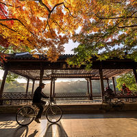 ��㣡��㣡��㣡