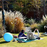 ��ĩ�乫԰����