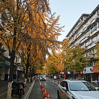 �ֻ������ʽ�