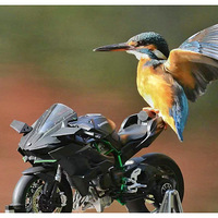 Ħ�г��Ϸɴ���