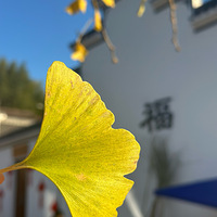 ����úܺ������ڳ�