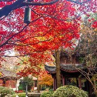 ����µĺ����һ���Ż�������Ȧ��