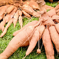 ͻȻ���ˣ��ɺ����������³裬���˳���ȴ��˯14Сʱ��ҽ������