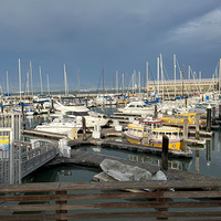 �����У�ʮ�壩