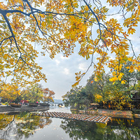 �����ӿ��԰�����ŨŨ��