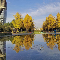 Ǯ�����͹�԰����Ҷ����