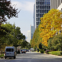 ��Ӱ����2511 ���ʹ������1