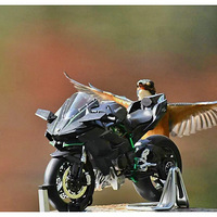 Ħ�г��ϵĴ���