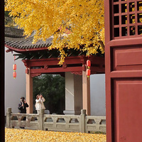 ������������  ��ͷ������