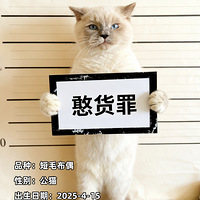 �����м�ֻ3/5/8��������Ʒ��èС������