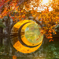 ���������조��⴩����