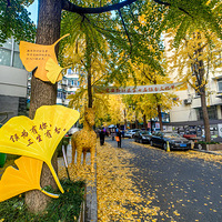 ���λʳ���ַ���ڵĺ��н֣����ͽ�Ƶ����Ӹ�����ʷ�ĳ���