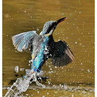 û��ץ����Ĵ���