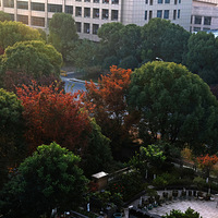 ԰����ɫ��