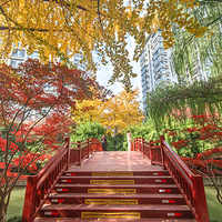 ����ʱ�⣬�������ã�