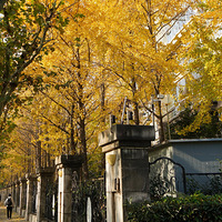 ��Ӱ����2512 ��ɽ·���ӻ���