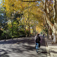 ������ɫ���������˾ͺã����������紵�ѣ�������������ɫ��