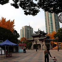 ���³���