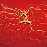 �����䣡�����붬�󣬼Ҽ������ﳣ��һζ���ϡ�