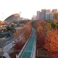 �������˺�����������԰