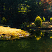 ̫������ɫ