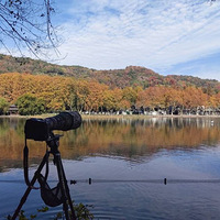 һ���죬һ����