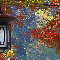 ̫���幫԰�ͺ������ʱ