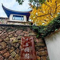 ��ʮ����¥����������800����������ƲӲӵ�ӭ����չ