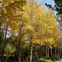 ��Ӱ����2511 ���ʹ������2