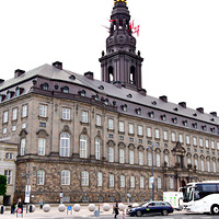 ����籾����