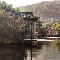 �߹�����