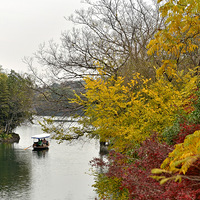 ������Ӱ��