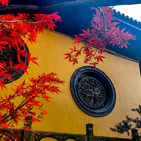 �������������Ҷ���