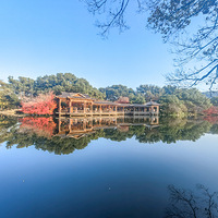 ���۹�԰��Ҷ�����죡