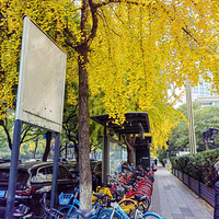 ϧÿһ£ÿһ춼ֵû䡣