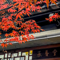 ɻͷġáһҾӪйͳĻ̵꣬ŨŨ