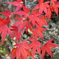 ���ղغ�12��