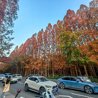 ·ˮɼˣڶ¸ߴ׳ۡҫۣ